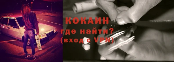 ПСИЛОЦИБИНОВЫЕ ГРИБЫ Каменка
