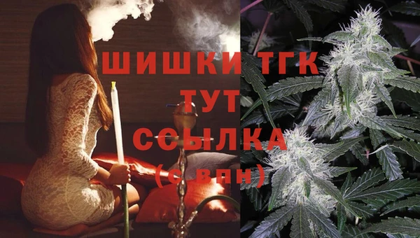 спиды Карпинск