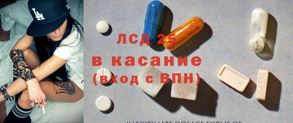 ПСИЛОЦИБИНОВЫЕ ГРИБЫ Каменка