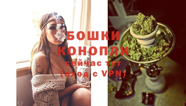 Альфа ПВП Касимов