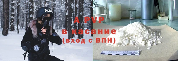 ПСИЛОЦИБИНОВЫЕ ГРИБЫ Каменка